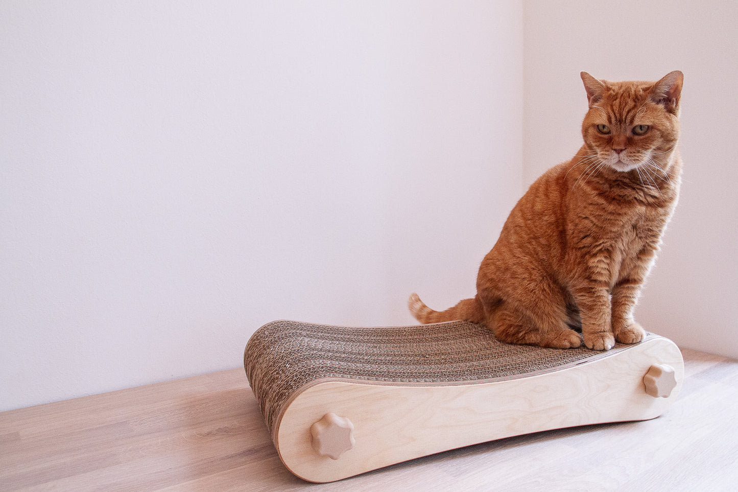 Kratzmöbel für Katzen in Form einer Liege bestehend aus zwei hellen Holzelementen mit Wellpappebögen dazwischen. Die Verschraubung erfolgt mit Muttern aus Holzfilament in Form von abgerundeten Sternen. Mittelgroße rot-getigerte Katze, ca. 4 kg sitzt auf Liege drauf um die Größe in Relation zur Katze darzustellen.