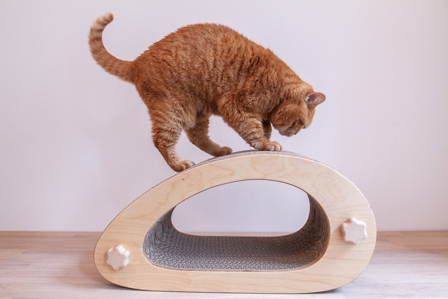 Kratzmöbel für Katzen in Form einer abstrakten Maus mit einem Liegetunnel im Inneren bestehend aus zwei hellen Holzelementen mit Wellpappebögen dazwischen. Die Verschraubung erfolgt mit Muttern aus Holzfilament in Form von abgerundeten Sternen. Auf dem Kratzmöbel steht eine mittelgroße, rotgetigerte Katze und bekratzt das Katzenmöbel.
