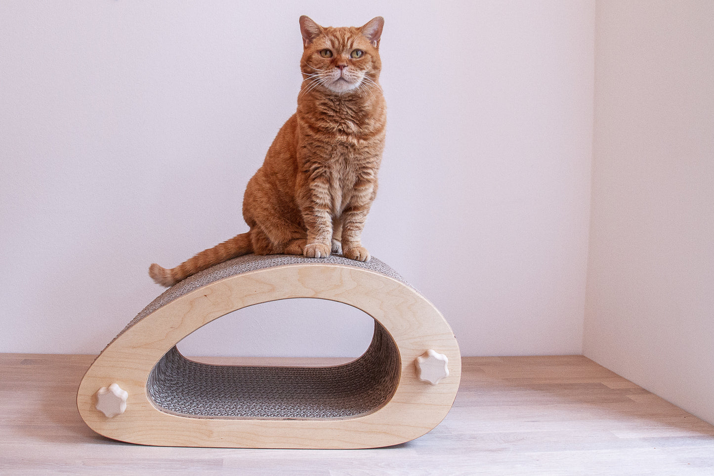 Kratzmöbel für Katzen in Form einer abstrakten Maus mit einem Liegetunnel im Inneren bestehend aus zwei hellen Holzelementen mit Wellpappebögen dazwischen. Die Verschraubung erfolgt mit Muttern aus Holzfilament in Form von abgerundeten Sternen. Auf dem Kratzmöbel sitzt eine mittelgroße, rotgetigerte Katze, um die Größe des Kratzmöbels in Relation zur Katze darzustellen.